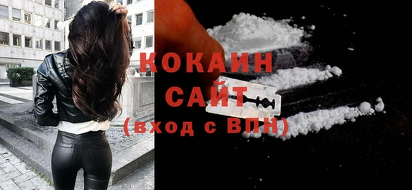 прущие крисы Горняк