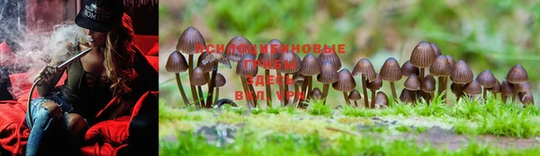 ешки Коряжма
