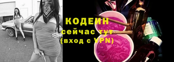 прущие крисы Горняк
