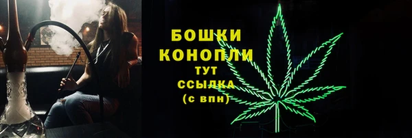 прущие крисы Горняк