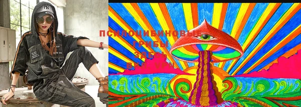 прущие крисы Горнозаводск