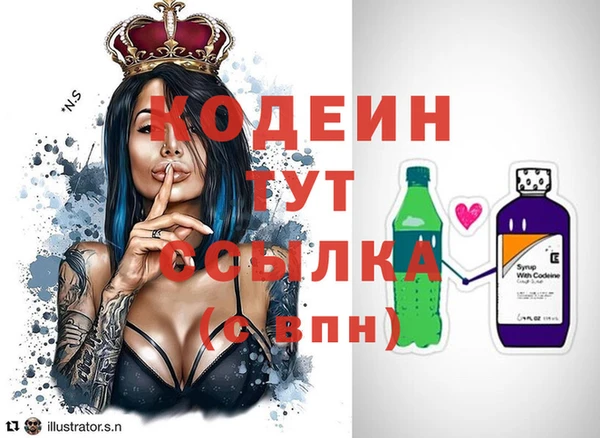 прущие крисы Горняк