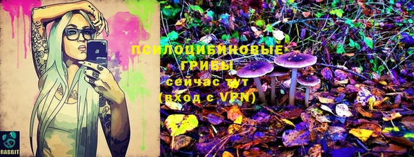 прущие крисы Горнозаводск