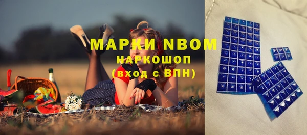 прущие крисы Горняк