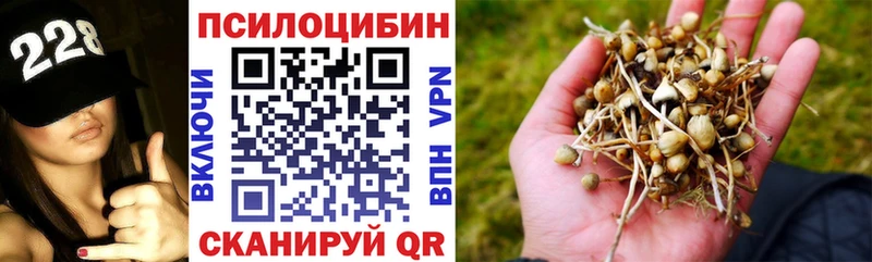 Галлюциногенные грибы MAGIC MUSHROOMS  купить наркотик  Дятьково 